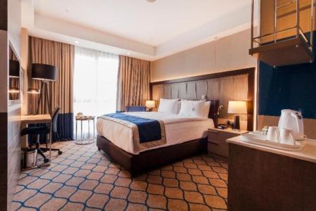 Holiday Inn Kayseri - Duvenonu, an IHG - 117