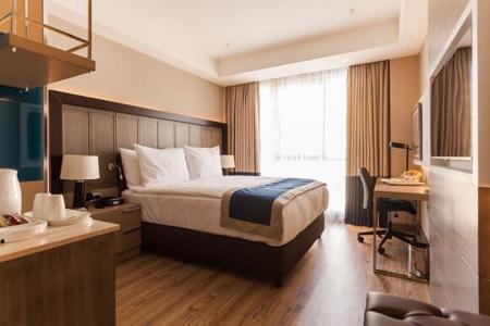 Holiday Inn Kayseri - Duvenonu, an IHG - 105