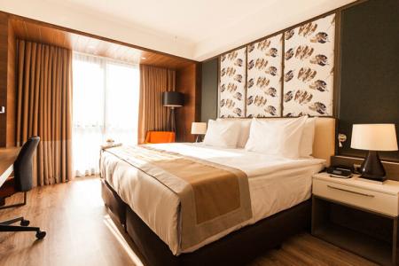 Holiday Inn Kayseri - Duvenonu, an IHG - 122