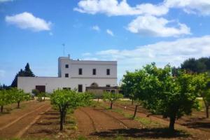 Masseria Bosco Mazza, Torre Dell'Orso