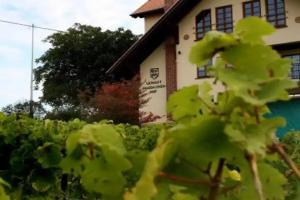 Weingut Magdalenenhof, Rudesheim am Rhein