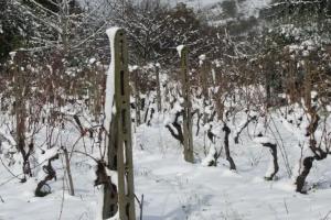 Agriturismo Etna-Mare, Piedimonte Etneo