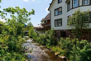 Im Tannengrund Pension, Baiersbronn