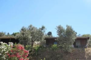 Guest House «Blucamp», Campiglia Marittima