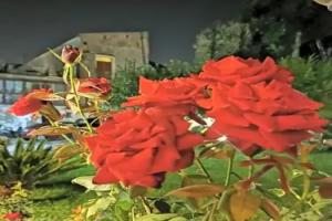 L'Angolo di Campagna, Piano di Sorrento