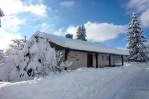 Holiday Home Zum munteren Eichhornchen by Interhome, Dittishausen