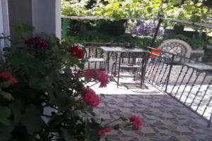 Georgievi Guest House, Saparevo