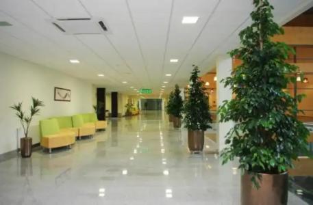 Medical SPA "Egles sanatorija" Comfort Druskininkai - 12