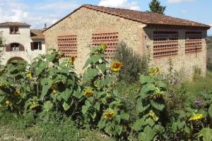 Guest House «Fattoria Palaia», Montespertoli