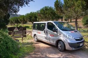 Camping Le Pianacce, Castagneto Carducci