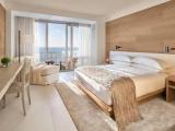 Standard Double room with balcony and oceanfront