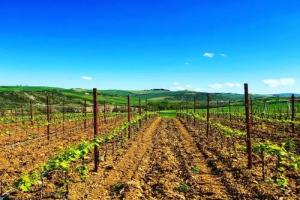 Agriturismo Oria Bianca, San Quirico d'Orcia