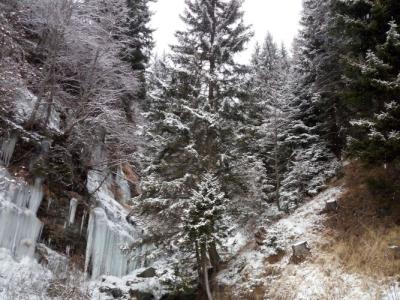 San Carlo, tra Bormio e Livigno - 27