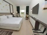 Executive Double room with balcony