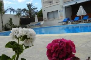 Tsialis Hotel Apartments, Larnaka