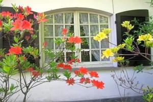 B&B VAEMENIA, Omegna