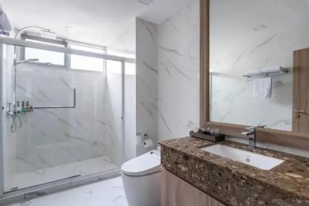 Adelphi Grande Sukhumvit - 120