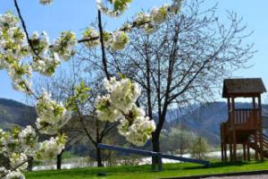 Hotel Die Alm, Oberkirch