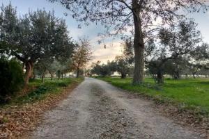 Casale Re di Coppe, Lanciano