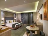 Business Double Suite