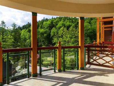 Mercure Krynica Zdroj Resort&Spa - 20