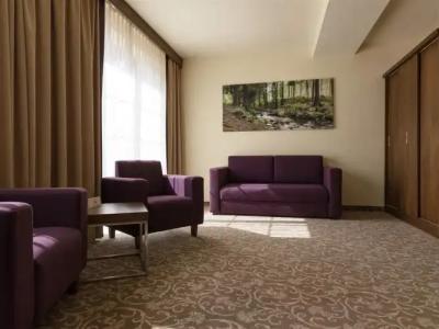 Mercure Krynica Zdroj Resort&Spa - 5