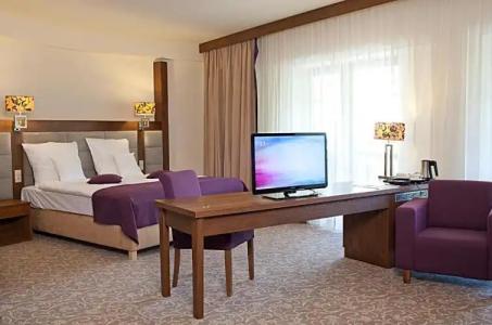 Mercure Krynica Zdroj Resort&Spa - 44