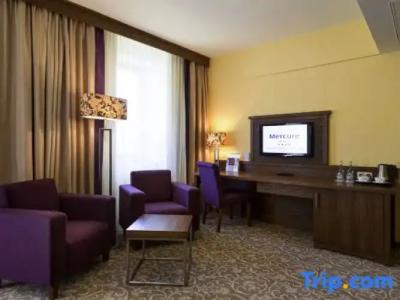 Mercure Krynica Zdroj Resort&Spa - 45