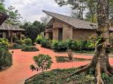 Bungalow with balcony and with garden view