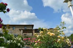 Bed & Breakfast «B&B Podere Il Colto», Gaiole in Chianti