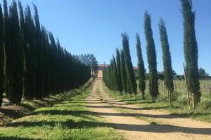 Agriturismo Laura, Rapolano Terme