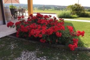 B&B Ca' Marognole, Caprino Veronese