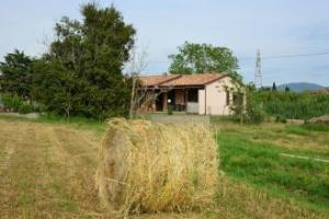 Agriturismo Ferri, Bibbona