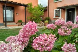 Bed & Breakfast «B&B Dama», Sarzana