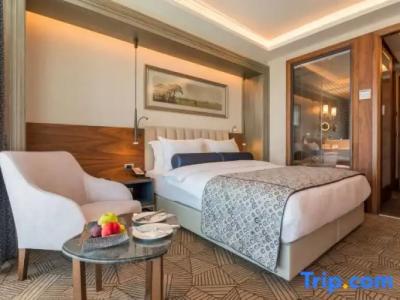 Golden Tulip Istanbul Bayrampasa - 122