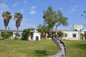 Bed & Breakfast «Masseria Fragnale», Fasano