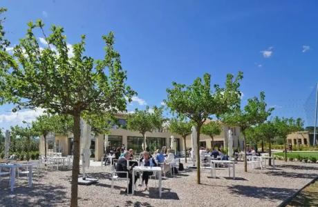 Le Clos des Oliviers Grimaud - 25