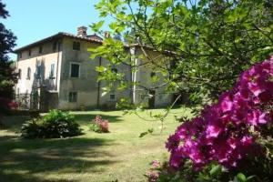 Bed & Breakfast «Masini-Luccetti», Pietrasanta