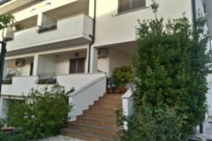 Zama Bed&Breakfast, Scalea