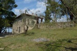 Podere Cottimellino - Agriturismo in Val d'Orcia, Montalcino