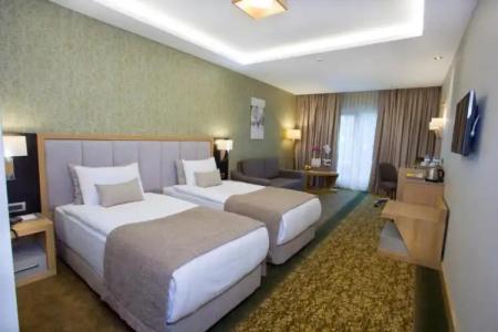 The Parma & Spa Taksim - 60