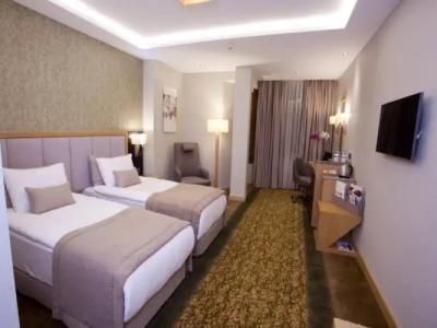 The Parma & Spa Taksim - 100