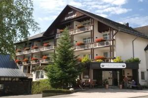 Landhotel Henkenhof Willingen, Willingen