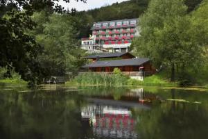 Waldhaus am See, Willingen