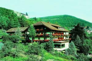 Atina Hotel, Bad Wildbad