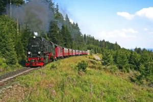 Ringhotel Weisser Hirsch, Wernigerode