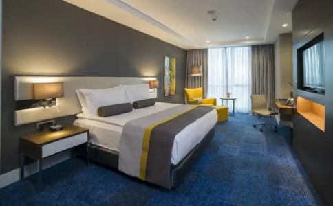 Radisson Blu, Kayseri - 103