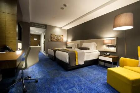 Radisson Blu, Kayseri - 101