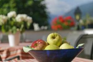 Garni-Hotel Tritscherhof, Rifiano