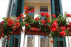 Bed & Breakfast «B&B PugliaMeraviglia», Fasano